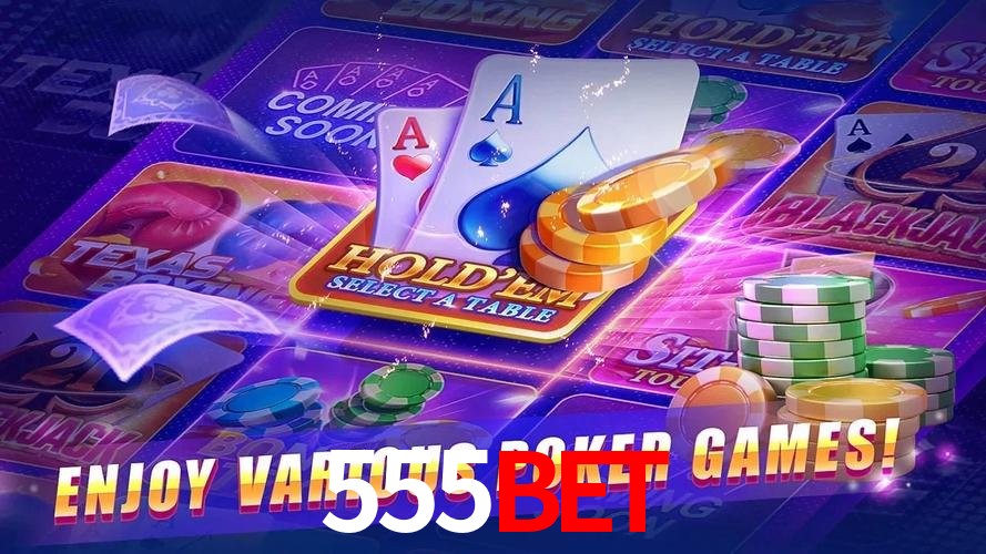 Interface Premium 555bet